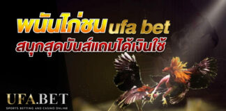 พนันไก่ชน ufa bet