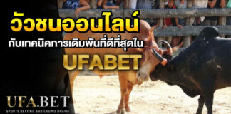 วัวชนออนไลน์