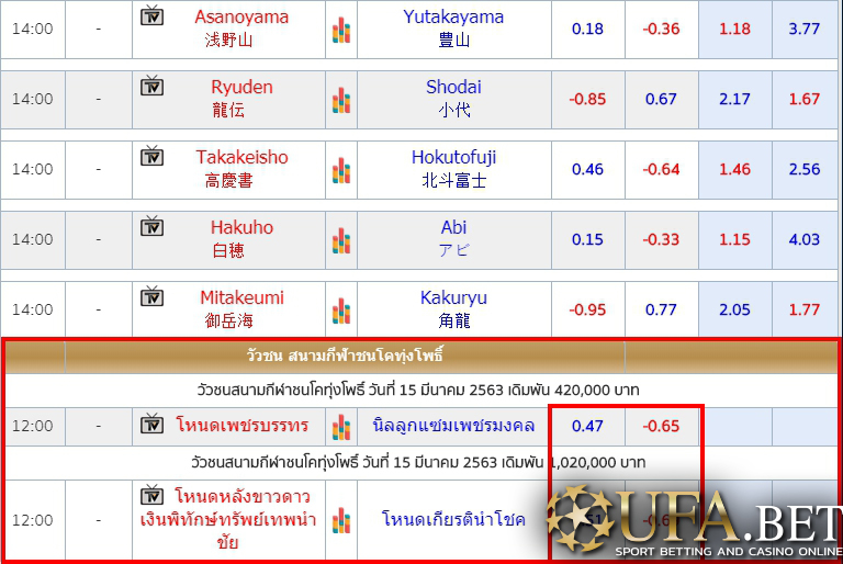 วัวชน UFABET