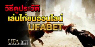 เล่นไก่ชนออนไลน์